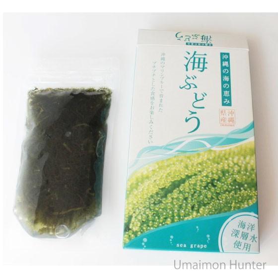 海ぶどう 100g×9箱 グローアップコーポレーションF 海洋深層水