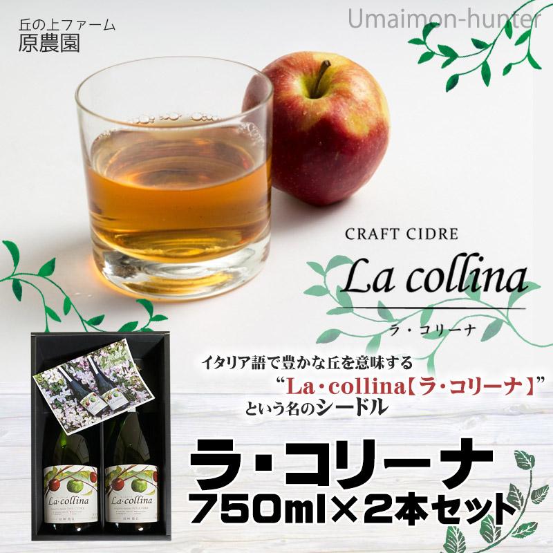 化粧箱入り 信州産シードル ラコリーナ 750ml 2本 丘の上ファーム原農園 長野県 土産 プレミアムシードル 贈り物 プレゼント 条件付き送料無料 Hara Sdrkn 0750 Gf 002 旨いもんハンター 通販 Yahoo ショッピング