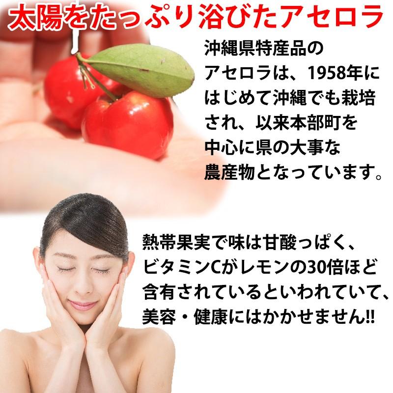 アセロラジュース 果汁100 500ml 1本 比嘉製茶 沖縄 土産 人気 ドリンク ビタミンc ポリフェノール 送料無料 Hgsc Acrlj 0500 Nm 001 旨いもんハンター 通販 Yahoo ショッピング
