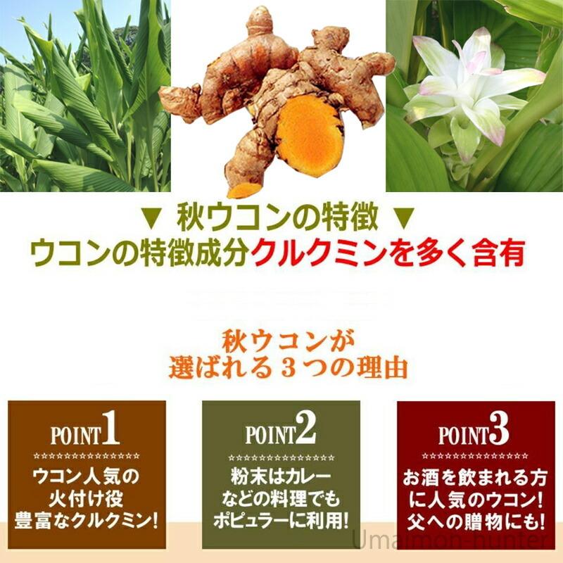 秋ウコン スライス 100g 10p 比嘉製茶 沖縄 土産 人気 健康食品 うこん ウッチン 鬱金 名医とつながる たけしの家庭の医学 ターメリック 条件付き送料無料 Hgsc Aukns 0100 Nm 010 旨いもんハンター 通販 Yahoo ショッピング