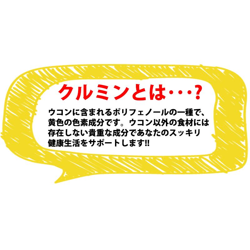 比嘉製茶 秋ウコン茶 ティーバッグ 10袋入り×1箱 沖縄生まれの秋ウコン茶 クルクミンや精油成分豊富な健康茶｜umaimon-hunter｜05