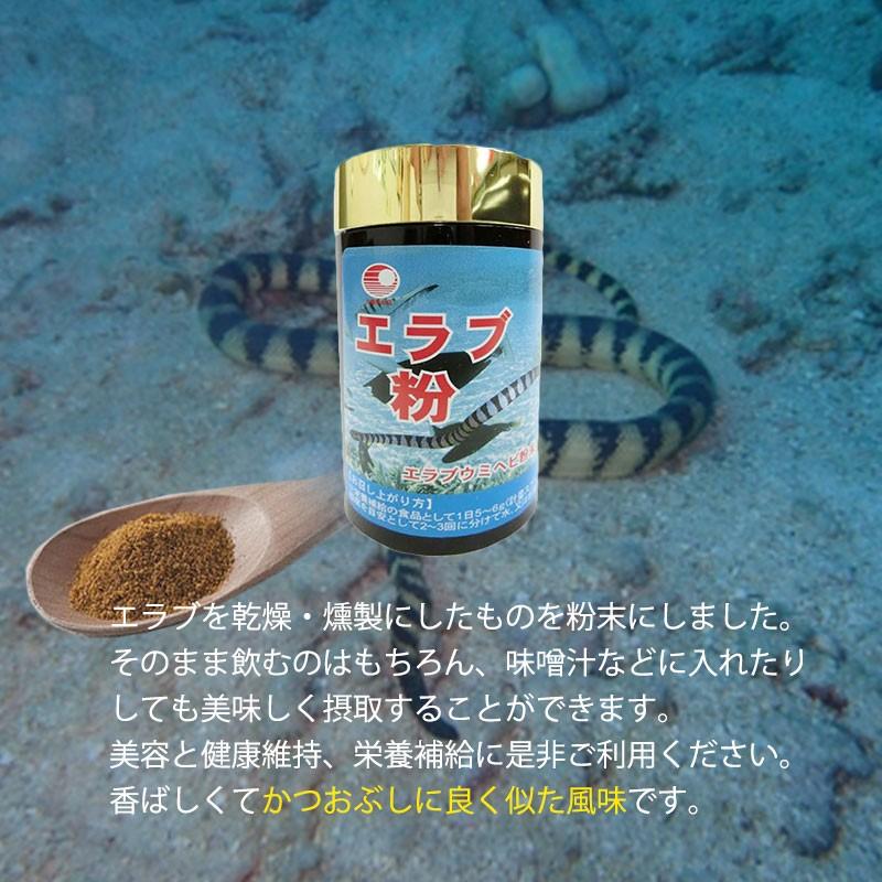 比嘉製茶 エラブ粉 100g×2個 沖縄 土産 健康 珍しい 希少 送料無料|umaimon-hunter|02