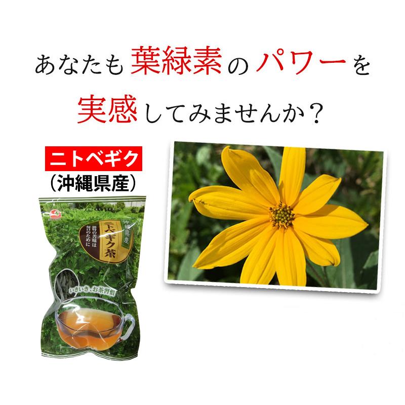 ニトベギク茶 25g×2袋 比嘉製茶 沖縄 土産 人気 健康茶 茶葉 イヌリン含有 |  | 01