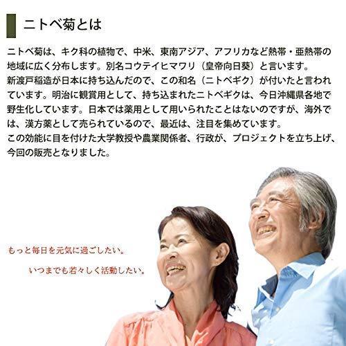 ニトベギク茶 25g×5袋 比嘉製茶 沖縄 土産 人気 健康茶 茶葉 イヌリン含有 |  | 04