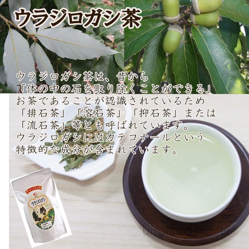 ウラジロガシ ティーバッグ 32袋入り 2袋 比嘉製茶 沖縄 人気 定番 土産 健康茶 送料無料 Hgsc Ujgtb 0032 Nm 002 旨いもんハンター 通販 Yahoo ショッピング