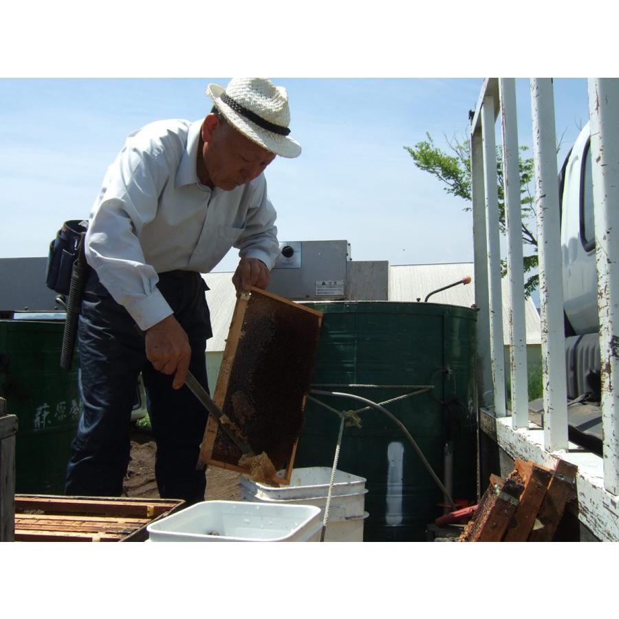 国産ミカンはちみつ 平瓶入り 300g×1瓶 荻原養蜂園 国産養蜂 国産蜂蜜｜umaimon-hunter｜04