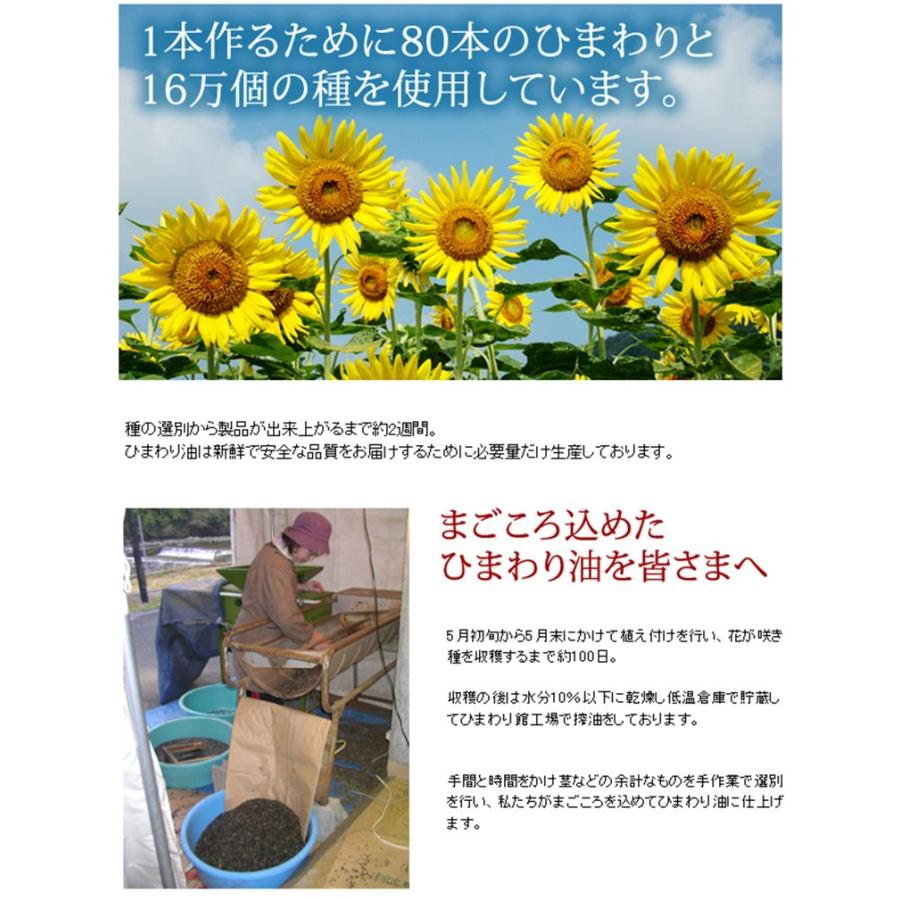 ギフト ひまわりビーフカレー×8食 南光ひまわり館 健康ギフトセット  