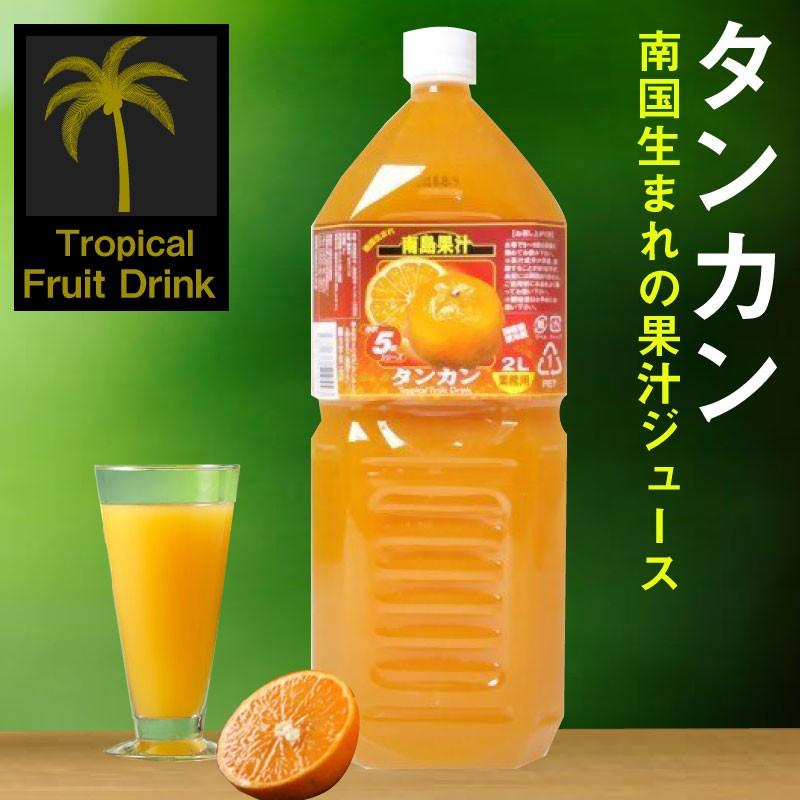 【新版】 南島果汁 タンカン 2L(5倍濃縮)×30本 北琉興産 沖縄 土産 南国フルーツ 柑橘系 ドリンク ヘスペリジン(ビタミンP) 【6466273424】(23515円)