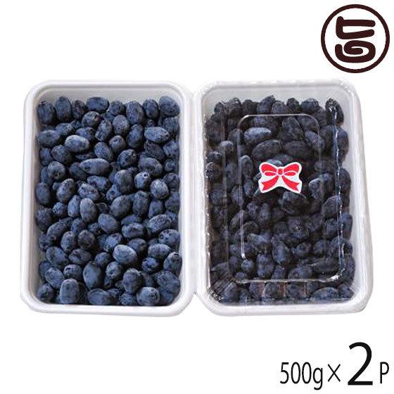送料無料（一部地域を除く）】 冷凍ハスカップ 500g×2個 はすかっぷ