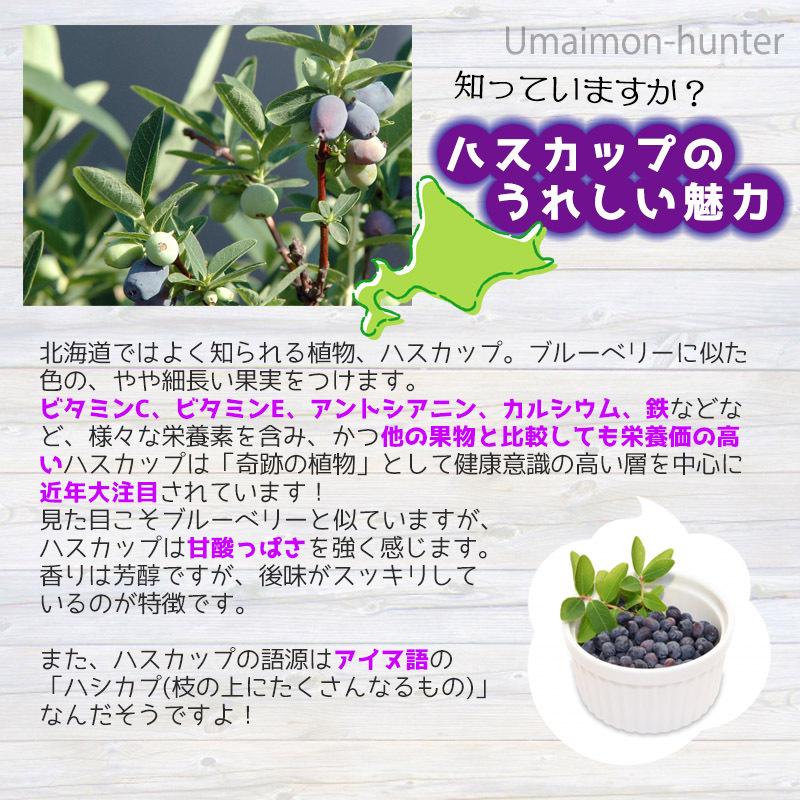 ハスカップ大根のど飴 60g 12p はすかっぷサービス 北海道 土産 ハスカップのどあめ 大根エキス入り 条件付き送料無料 Hskp Nodam 0060 Nm 012 旨いもんハンター 通販 Yahoo ショッピング