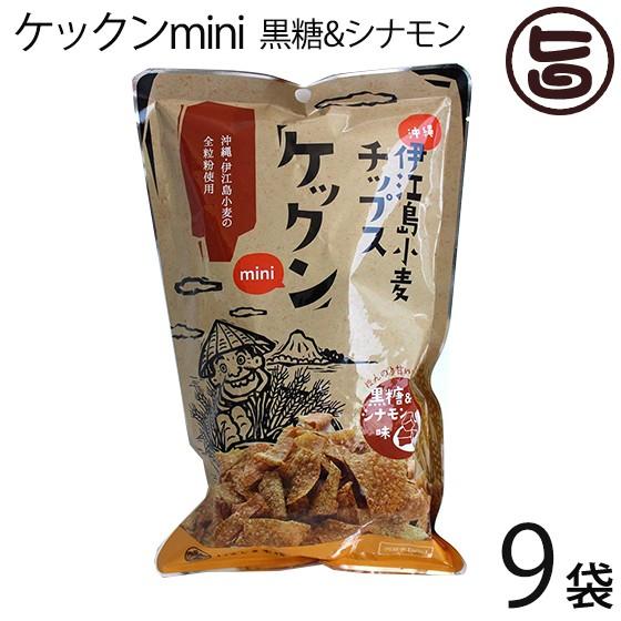 ケックンmini 黒糖 シナモン 60g 9袋 いえじま家族 沖縄伊江島小麦チップス ほんのり甘い 林修の今でしょ 講座 おやつ 黒糖 送料無料 Ijkz Jmkas 0060 Nm 009 旨いもんハンター 通販 Yahoo ショッピング