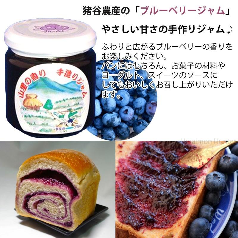 ブルーベリージャム 180g 3瓶 猪谷農産 フルーツ ジャム 着色料 保存料不使用 手作り 高知県 四国 送料無料 Itns jam 00 Nm 003 旨いもんハンター 通販 Yahoo ショッピング