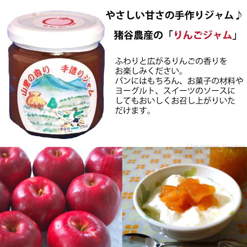 りんごジャム 180g 3瓶 猪谷農産 フルーツ ジャム 着色料 保存料不使用 手作り 高知県 四国 送料無料 Itns Ringj 0180 Nm 003 旨いもんハンター 通販 Yahoo ショッピング