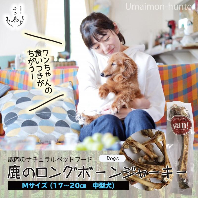 鹿のロングボーン Mサイズ×13P 但馬のジビエ ココ鹿 兵庫県 人気 土産 ナチュラルペットフード ストレス解消 カルシウム摂取_1