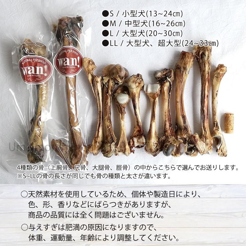 鹿のロングボーン Mサイズ×13P 但馬のジビエ ココ鹿 兵庫県 人気 土産 ナチュラルペットフード ストレス解消 カルシウム摂取_5