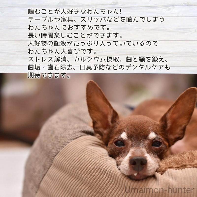 鹿のロングボーン LLサイズ×7P 但馬のジビエ ココ鹿 兵庫県 人気 土産 ナチュラルペットフード ストレス解消 カルシウム摂取_4