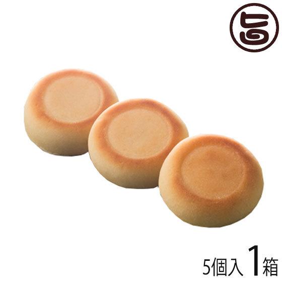 お中元 越山甘清堂 どっと 5個入 1箱 越山商店 石川県 土産 和菓子 焼菓子 米ゲル 餅粉 クリームチーズ 条件付き送料無料 Ksym Dotto 0005 Nm 001 旨いもんハンター 通販 Yahoo ショッピング
