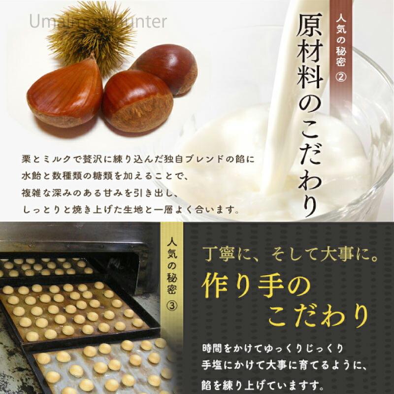 くまモン掛軸　【清正公】 プラモデル⑤ くまモンのプラモ 鎧兜バージョン | プラモデルと