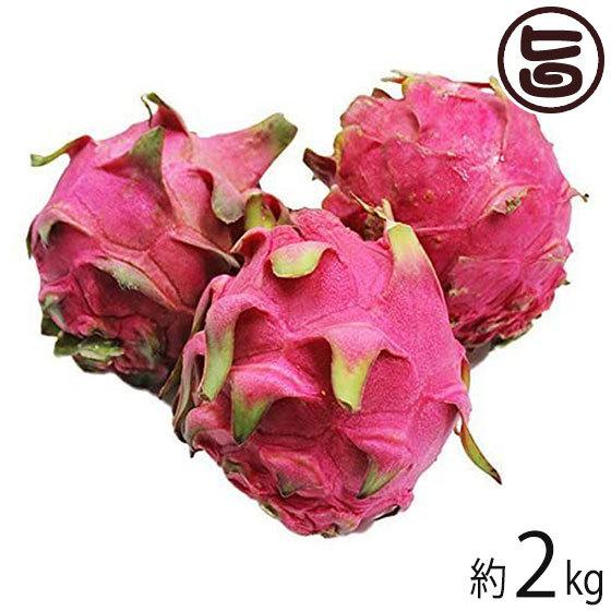 期間限定 ドラゴンフルーツ 2kg 4玉 6玉 沖縄 人気 南国フルーツ 送料無料