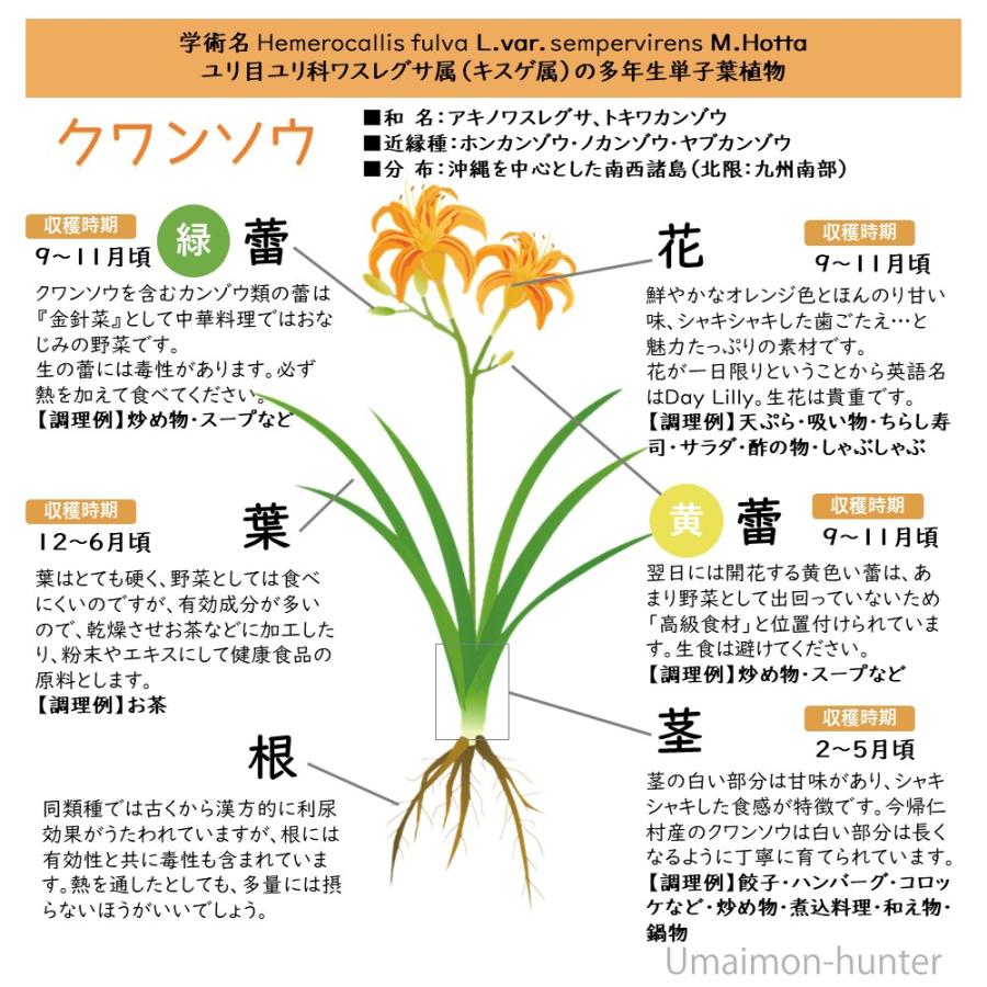 クワンソウ 生茶 煮出しタイプ 80g 6p 今帰仁ざまみファーム 沖縄 土産 人気 茶葉 沖縄伝統島野菜 ばら茶 眠り草 ノンカフェイン 一部地域配送不可 Njzf Knntb 0080 Nm 006 旨いもんハンター 通販 Yahoo ショッピング