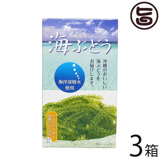 海ぶどう 沖縄県産 海洋深層水使用 シークヮーサー黒糖タレ付き 60g×3箱 お土産 珍味 おつまみ 人気 父の日｜umaimon-hunter