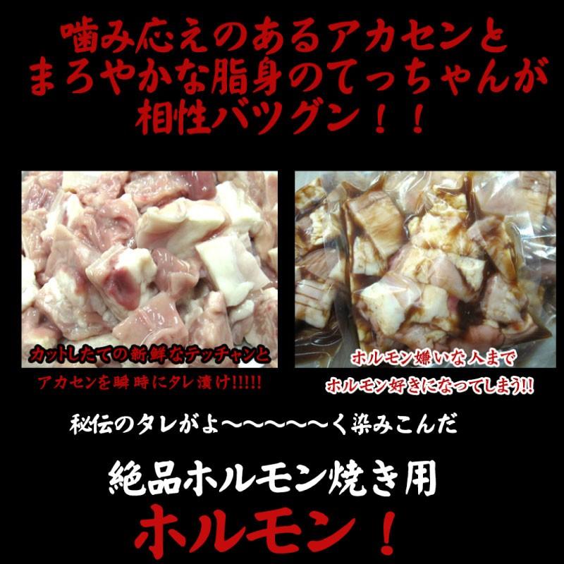 本格ホルモン焼き用 タレ漬けホルモン 450g 4p 匠テラオカ 大阪 人気 肉 専門店 たっぷり シマ腸 てっちゃん アカセン 条件付き送料無料 Ntto Hyths 0450 Nm 004 旨いもんハンター 通販 Yahoo ショッピング