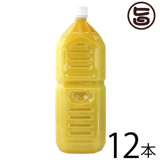 業務用 沖縄県産100% シークヮサー2L(希釈)×12本 オキハム 沖縄 人気 主治医が見つかる診療所 たけしの家庭の医学 尿もれ 頻尿 ノビレチン