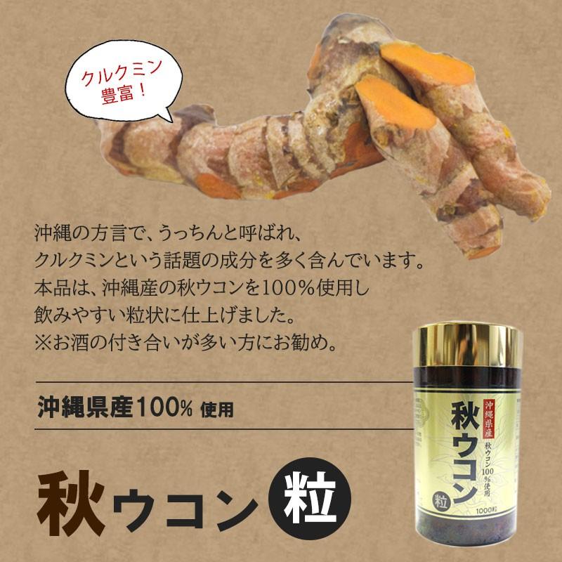 秋ウコン 1000粒 2個 沖縄ウコン販売 沖縄 健康 肝臓 送料無料 Okuh Akucb 0100 Nm 002 旨いもんハンター 通販 Yahoo ショッピング