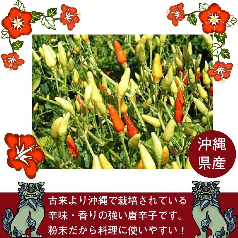 島とうがらし コーレーグスー 粉末タイプ 100g 1袋 大城海産物加工所 沖縄 土産 人気 定番 辛味調味料 辛党さんにおすすめのスパイス 送料無料 Osks Smtcg 0100 Nm 001 旨いもんハンター 通販 Yahoo ショッピング