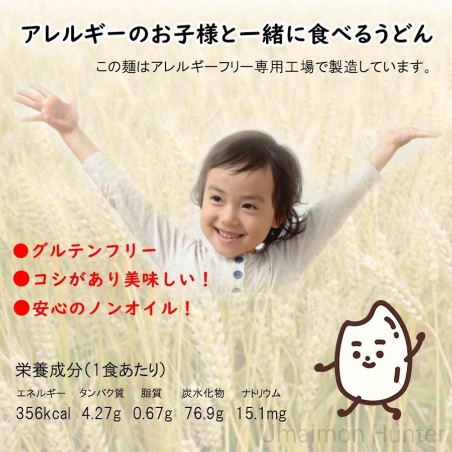 おしゃれ グルテンフリー オイルカット太麺 100g 60袋 レイ企画 沖縄 土産 人気 米粉麺 ノンオイル アレルギー アトピー お米のうどん 除去食 代替食 送料無料 Printx Nl