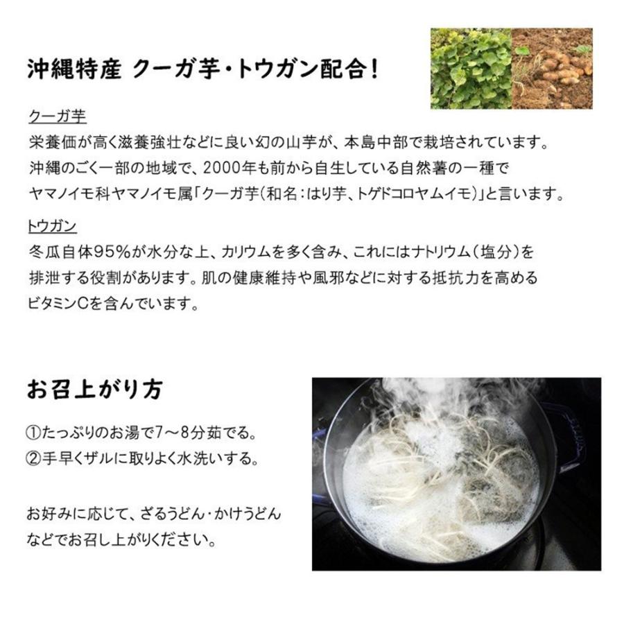 おしゃれ グルテンフリー オイルカット太麺 100g 60袋 レイ企画 沖縄 土産 人気 米粉麺 ノンオイル アレルギー アトピー お米のうどん 除去食 代替食 送料無料 Printx Nl