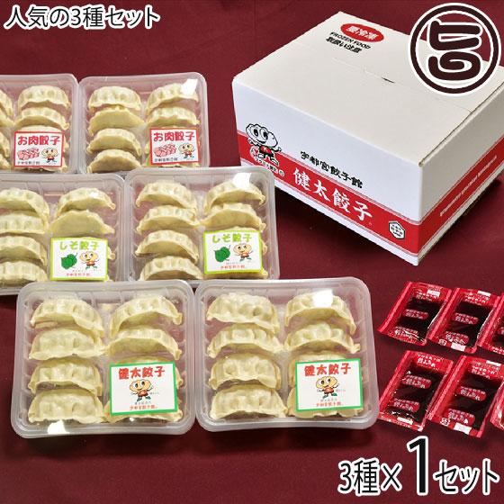 ギフト 健太餃子 シソ餃子 お肉餃子×各2パック 栃木 土産 冷凍