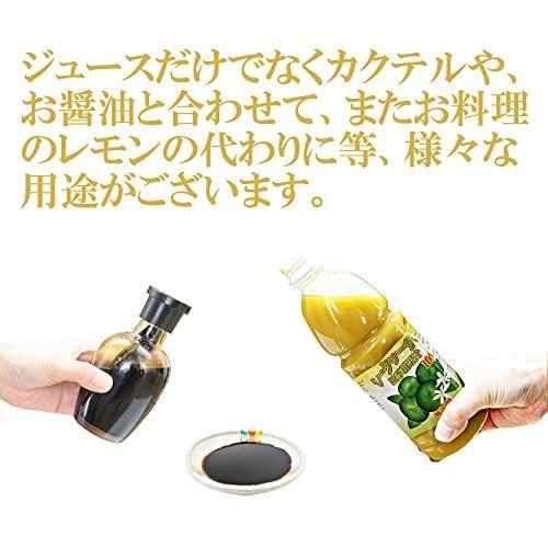 すばる商事 シークヮーサー入り 四季柑 濃縮果汁100% 500ml×6本 沖縄｜umaimon-hunter｜06