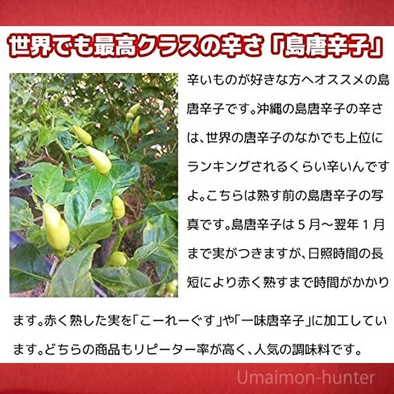 琉球薬味 こーれーぐーす醤油 1L×4本 真常 沖縄 人気 定番 土産 調味料 刺身や焼き魚、冷奴などにの画像