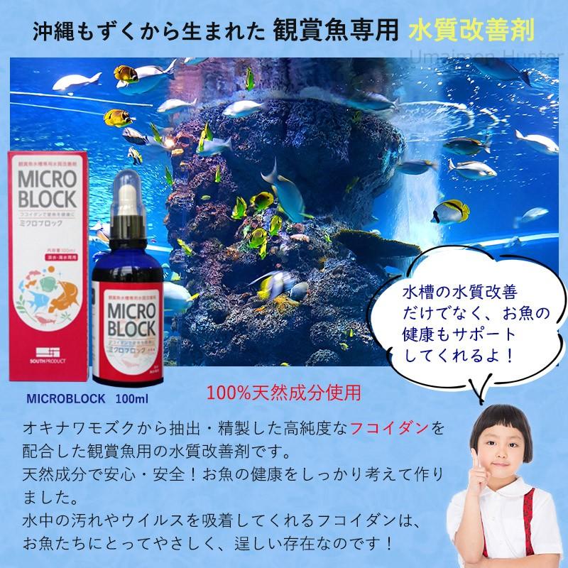 MICROBLOCK（ミクロブロック） 100ml×2本 サウスプロダクト 沖縄モズク 