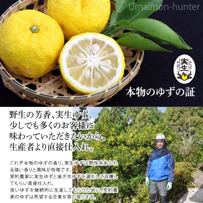ゆず香るアイスクリン コーン 150ml×20本 さめうらフーズ 高知県 四国