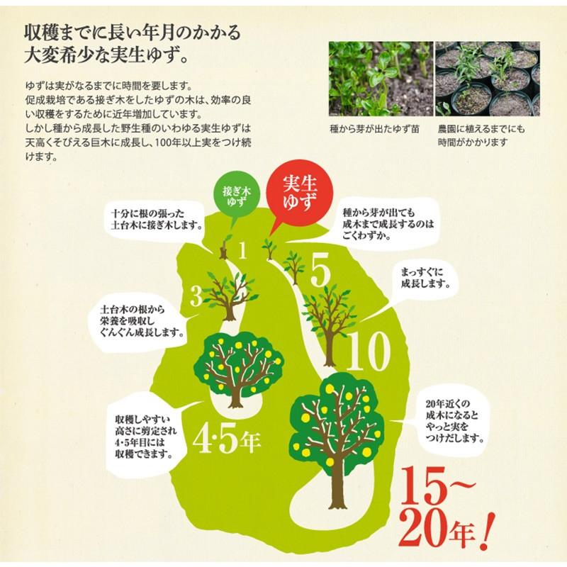 低温熟成 ゆず香るポン酢 300ml 6本 さめうらフーズ 高知県 四国 フルーツ 実生 みしょう 柚子 丸ごと 手しぼり 果汁使用 調味料 条件付き送料無料 Sufz Yzkpz 0300 Nm 006 旨いもんハンター 通販 Yahoo ショッピング