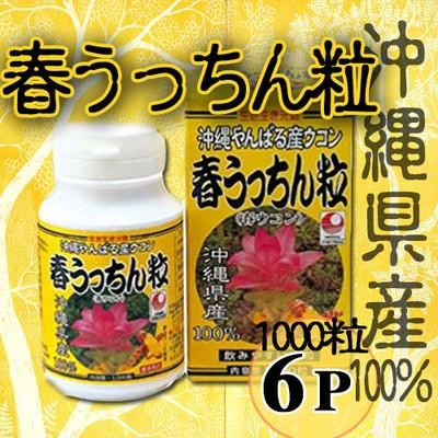 春ウコン 春うっちん粒 1000粒入×6P 沖縄 健康管理 サプリメント うこん 鬱金 人気