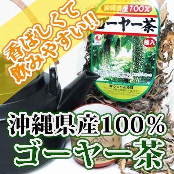 沖縄産 種入り ゴーヤー茶 スライス 70g×6P 沖縄 人気 健康茶 土産 健康管理