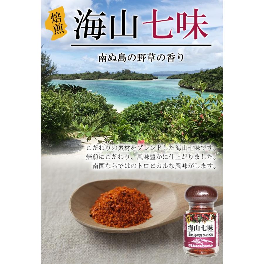 海山七味 瓶入り 20g×20瓶 海のもの山のもの 沖縄 土産 沖縄土産｜umaimon-hunter｜02