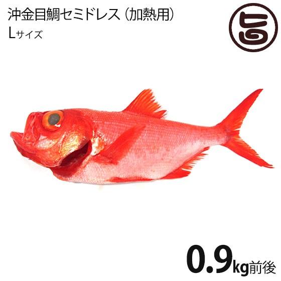 天然 沖金目鯛 セミドレス 加熱用 えらと内蔵 除去済 Lサイズ 1尾 下田漁港 宇都宮水産 祝儀魚 高タンパク 低カロリー コラーゲン 静岡 条件付き送料無料 Utsu Oksmd 000l Nm 001 旨いもんハンター 通販 Yahoo ショッピング