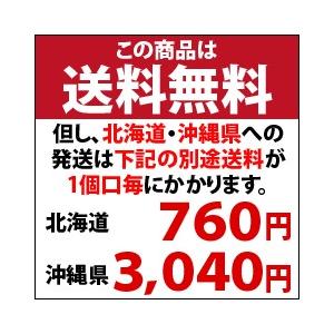 キリン 氷結ストロング シチリア産レモン350ml缶×3ケース（全72本） 送料無料｜umaimon-oumi｜03