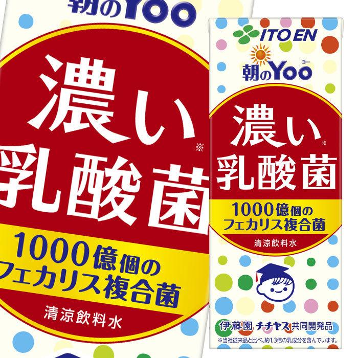 伊藤園 朝のYoo 濃い乳酸菌 200ml ×1ケース（全24本） 送料無料 爆買