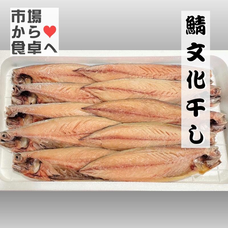 さば 文化干し 10枚 1枚当たり約1 140g 鯖ひもの 小田原老舗 大半の干物 脂のっています 冷凍便 vfn うまいもの市場yahoo 店 通販 Yahoo ショッピング
