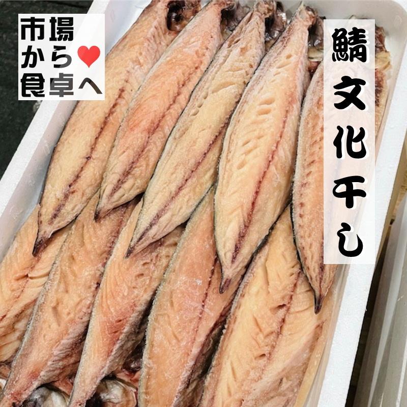 在庫あり さば 文化干し 10枚 1枚当たり約1 140g 鯖ひもの 小田原老舗 大半の干物 脂のっています 冷凍便 Materialworldblog Com