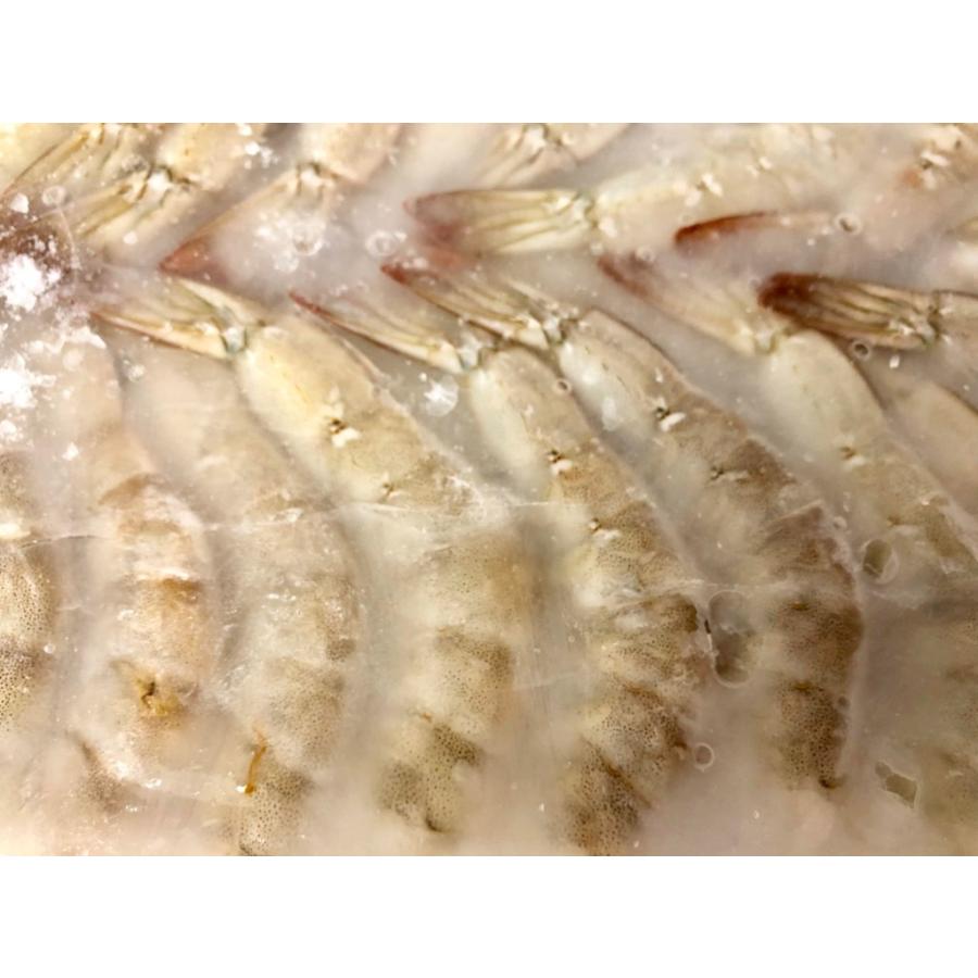 海老 バナメイ海老 1 8ｋｇ 鮮度維持 ブロック 凍結 31 40 約124 160尾 業務用 一般の方もご利用いただけます 冷凍便 1818nbbneb3140fr うまいもの市場yahoo 店 通販 Yahoo ショッピング