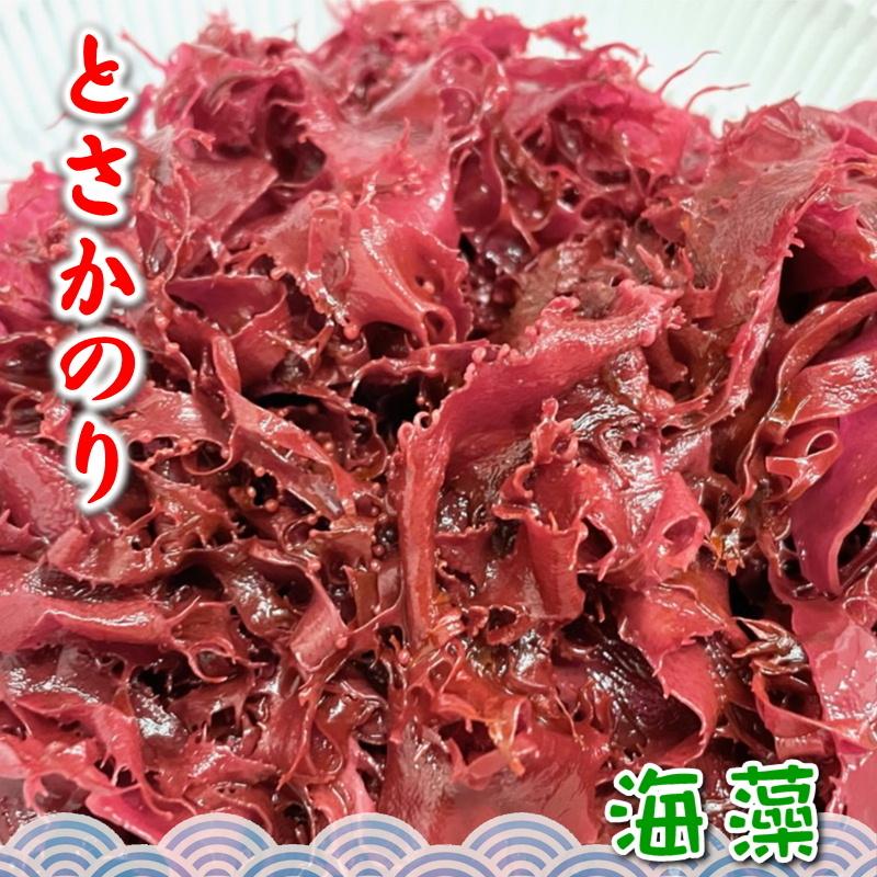 赤 とさか のり 500g入り ２袋セット カネリョウ 天然海藻 無添加 jgjjhvfba うまいもの市場yahoo 店 通販 Yahoo ショッピング