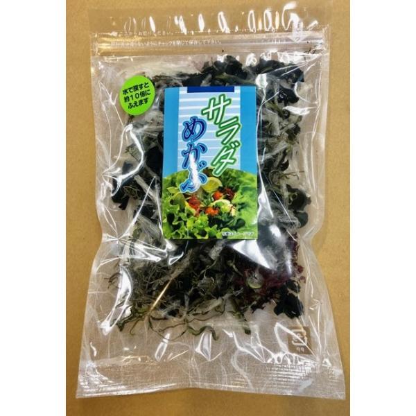 現金特価 サラダ めかぶ 40g入り 80袋 毎日 海藻 を食べよう 健康 応援 食材 水で戻せば10倍に増えます 新品本物 Www Fedelatina Org