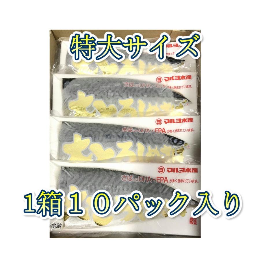〆サバ 10パック入り 業務用 特大大トロサバ使用 特大のサバなので食べ応えあります お刺身 炙り 酢の物等に 脂のってます 冷凍便 Www Unipymes Com