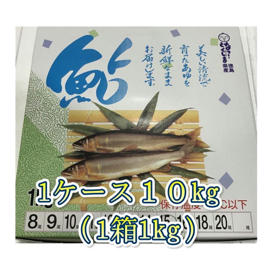冷凍 国産あゆ 養殖 1ケース10kg 150尾入り 塩焼き 唐揚げ 佃煮 姿寿司等に 冷凍便 tsdss150 うまいもの市場yahoo 店 通販 Yahoo ショッピング